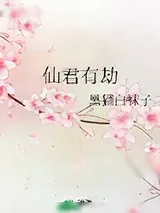 《仙君有劫》小说封面
