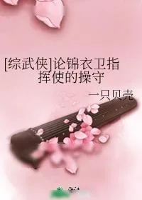 《[综武侠]论锦衣卫指挥使的操守》小说封面