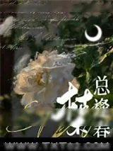 《枯木总逢春》小说封面