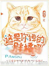 《又想骗我养猫》小说封面