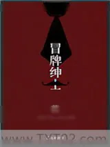 《冒牌绅士》小说封面