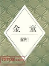 《金童》小说封面