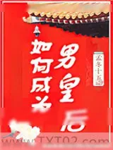 《如何成为男皇后》小说封面