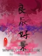 《良辰好景》小说封面