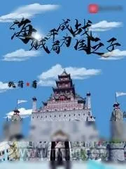《海贼开局成为战国之子》小说封面