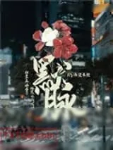 《默脉》小说封面
