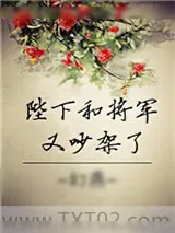 《陛下和将军又吵架了》小说封面