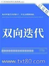 《双向迭代》小说封面