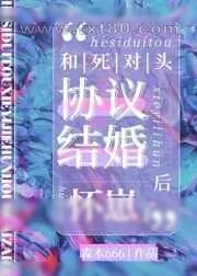《和死对头协议结婚后怀崽了》小说封面