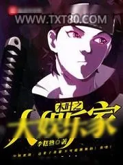 《木叶之大娱乐家》小说封面