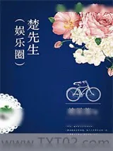 《楚先生（娱乐圈）》小说封面