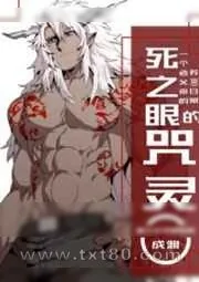 《死之眼的咒灵》小说封面