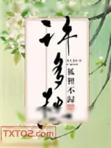 《许多愁》小说封面