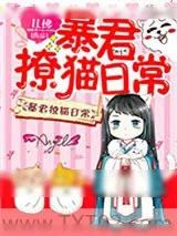《暴君撩猫日常》小说封面