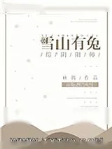 《[综]雪山有兔》小说封面