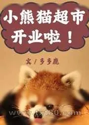《小熊猫超市开业啦!》小说封面