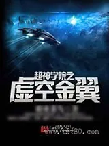 《超神学院之虚空金翼》小说封面