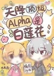《失忆后,天降顶级Alpha老公》小说封面