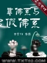 《真佛系与假佛系》小说封面