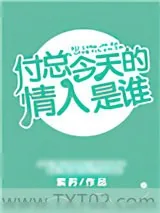 《付总今天的情人是谁》小说封面