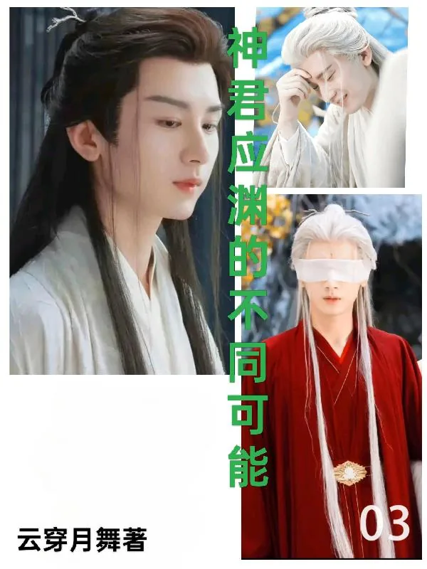 《神君应渊的不同可能》小说封面
