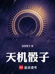 《天机骰子》小说封面
