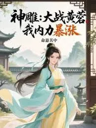 《神雕：大战黄蓉，我内力暴涨》小说封面