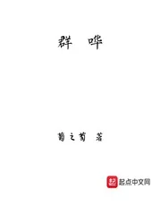 《群哗》小说封面