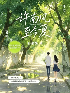 《许南风，至今夏》小说封面