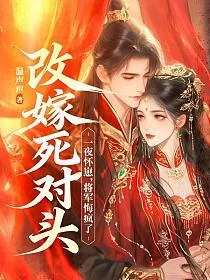 《改嫁死对头一夜怀崽，将军悔疯了》小说封面