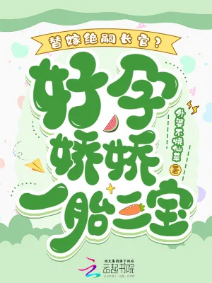 《替嫁绝嗣长官?好孕娇娇一胎三宝》小说封面