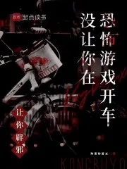 《让你辟邪，没让你在恐怖游戏开车》小说封面