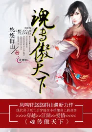 《魂传傲天下》小说封面