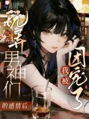 《玩弄男神们的感情后,我被团宠了》小说封面