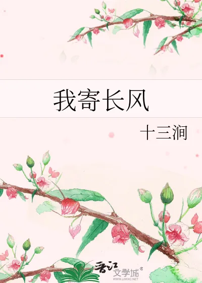 《我寄长风》小说封面