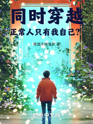 《同时穿越：正常人只有我自己？》小说封面