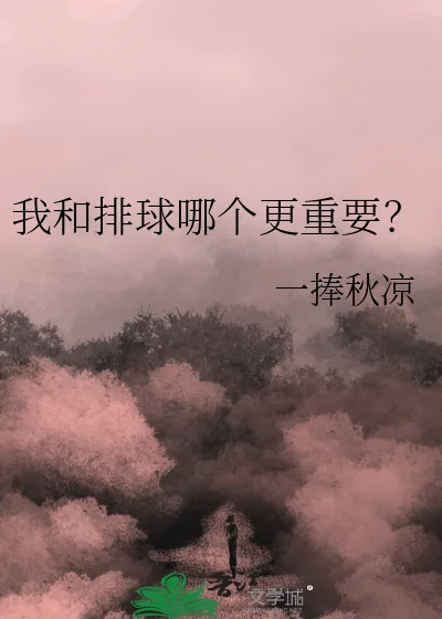 《我和排球哪个更重要？》小说封面