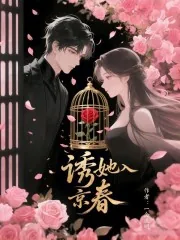 《诱她入京春》小说封面