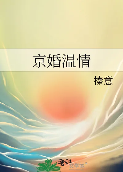 《京婚温情》小说封面