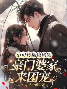 《小可怜揣崽偷哭，豪门婆家来团宠》小说封面