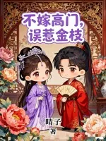《不嫁高门,误惹金枝》小说封面