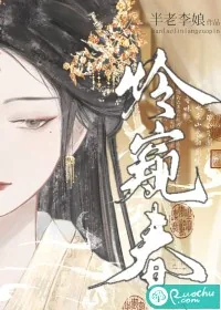 《怜窥春》小说封面