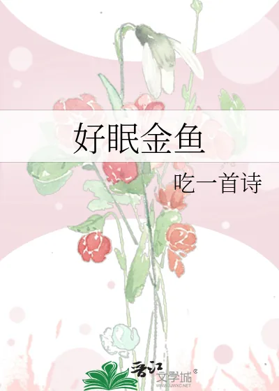 《好眠金鱼》小说封面