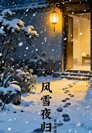 《风雪夜归》小说封面