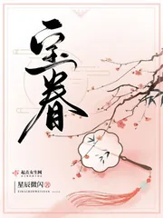 《宝眷》小说封面