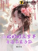 《小姑奶奶三岁半，专治不肖子孙》小说封面