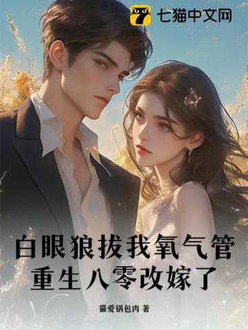 《搬空婆家离婚后,被八零京少宠上天》小说封面