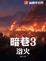 《暗巷3:浴火》小说封面
