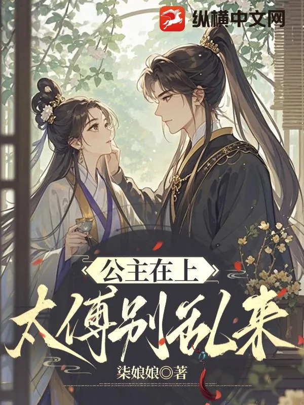 《公主在上,太傅别乱来》小说封面