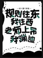 《规则往东我往西,老师上吊我蹦迪》小说封面